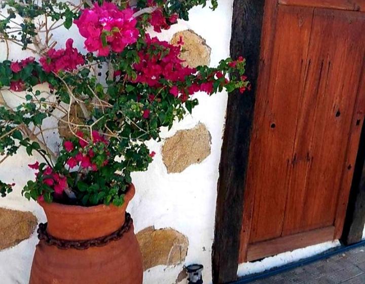 Casa Rural Alessia With Jacuzzi ,Garden & Swimming Pool Santa Cruz de Tenerife Kültér fotó